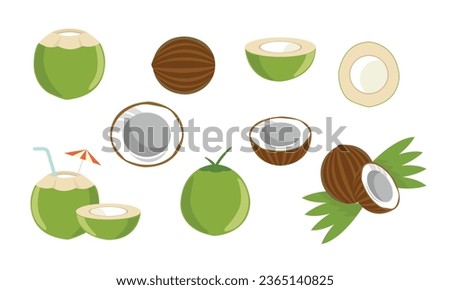 coconut fruit and coconut elements vector illustration Royalty-Free Stock Photo #2365140825