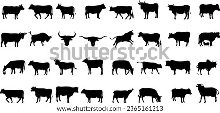silhouettes of cows, various poses and sizes, grid pattern, white background. Perfect for agriculture, farming, livestock, dairy related designs