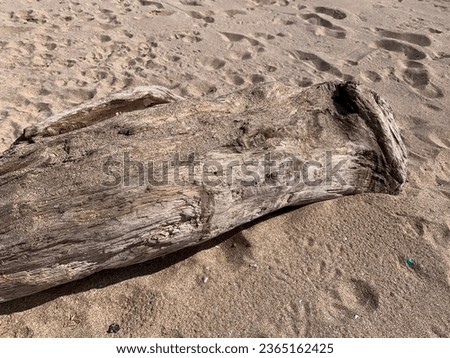 A big log of tree on a white sand at the beach.