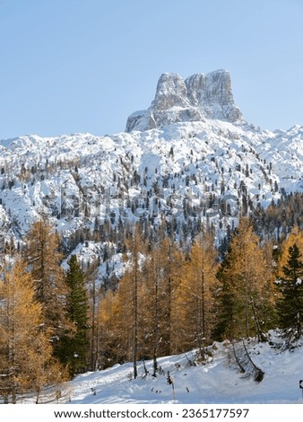View of the 5 Torri in Cortina d'Ampezzo, Veneto, Italy, Europe, on a sunny day in autumn with the colors of the foliage. Chain with characteristic peaks.