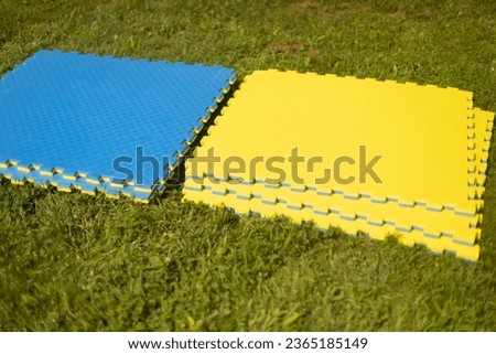Sports training mat.. Soft coating for exercise in park. Playground for sports on green lawn. Classes in park.