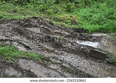 Tire tracks on the muddy ground