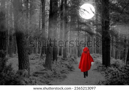 Forest, moon, trees, mystery, background