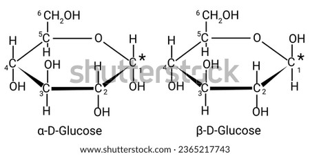 Structure of α-D-Glucose and β-D-Glucose Royalty-Free Stock Photo #2365217743