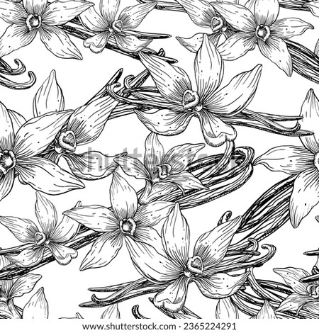 Vanilla Flowers seamless Pattern. Hand drawn floral vector illustration of orchids and sticks. Sketch of food spice or ingredient for essential oil for wrapping paper on white isolated background.