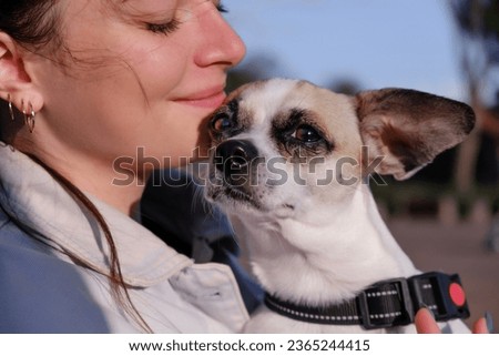 Beautiful girl in a lilac denim jacket holds a dog in her arms and hugs it. White-brown-black dog.  A cross between a Chihuahua and a Jack Russell dog. Close-up