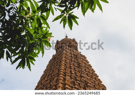 beautiful shot photo of hindu worship tower vimana intricate limestone granite stone statues ancient city tanjore big temple india architecture tamilnadu tourism chola dynasty shrine tree foreground 