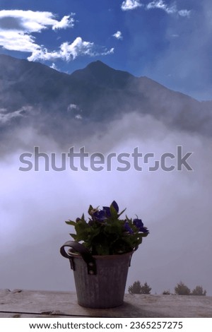 A vase of flowers among the clouds that envelop the mountains.