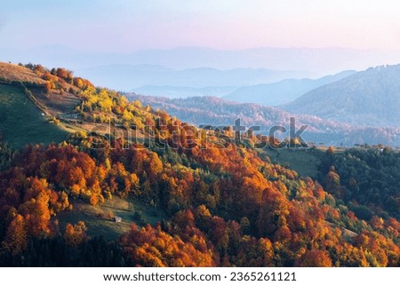Fall scenery. Landscape with orange, red, green forest.     Sun rays enlighten the meadow with trees. Landscape with high mountains.