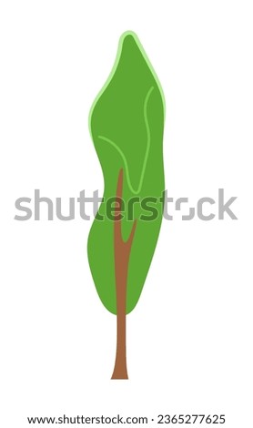 Single park tree semi flat colour vector object. Tall decorative plant. Editable cartoon clip art icon on white background. Simple spot illustration for web graphic design