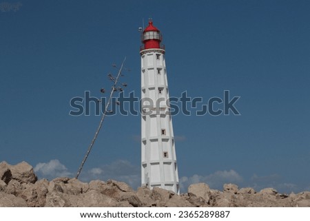 A juxtaposed tall thin Plant in the foreground leans towards a beautiful White Lighthouse with a Red Top in the background. Backdrop of Blue Sky and Cloud low on the Horizon over Sea Defence Rocks. Royalty-Free Stock Photo #2365289887
