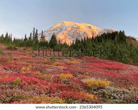 Mount Rainier with fall colors Royalty-Free Stock Photo #2365304095