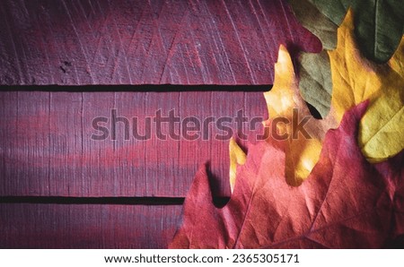 Wood background with fall colored leaves