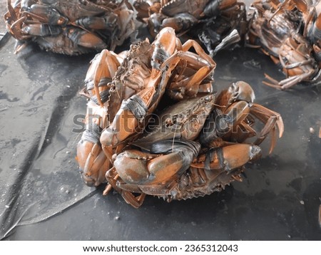 photo of a medium sized crab tied and ready to be sold at the fish market.