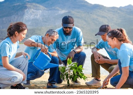 group of diverse volunteers planting trees in evening sun, concept reforestation, environmental conservation, save earth Royalty-Free Stock Photo #2365320395