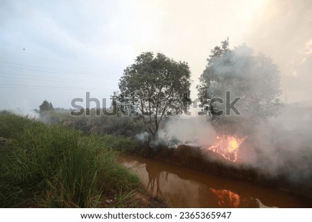Forest and land fires with an ecosystem of wild grass and other swamp plants, Banjarbaru, South Kalimantan, Indonesia, Sunday 18 June 2023 Royalty-Free Stock Photo #2365365947