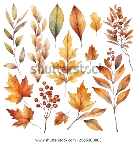 Colorful autumn foliage fall leaf watercolor vector collection set Royalty-Free Stock Photo #2365383805