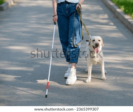 Close-up of female legs with tactile cane and guide dog in the park.  Royalty-Free Stock Photo #2365399307