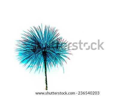 Colorful fireworks light on white background 
