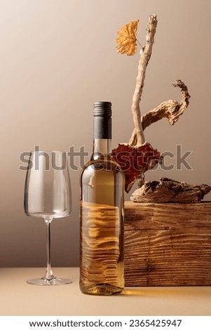 Bottle of white wine with a composition of old plank, dry snags, and dried vine leaves. Neutral beige background for product branding, identity, and packaging. Copy space, front view. Royalty-Free Stock Photo #2365425947