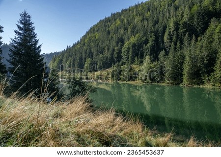 Slovakian mountain lake with trees and reflections.
