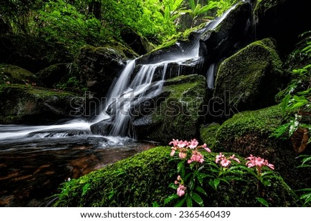 waterfalls in rainforest; beautiful natural wonder combining mountains, and waterfalls slot; river background with small waterfalls in tropical forest.