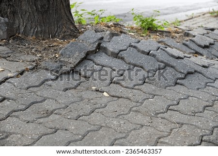 Sidewalk broken by the roots of a tree. Royalty-Free Stock Photo #2365463357