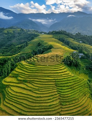 Aerial view of rice field or rice terraces , Sapa, Vietnam. Y Linh Ho village, Ta Van valley Royalty-Free Stock Photo #2365477215