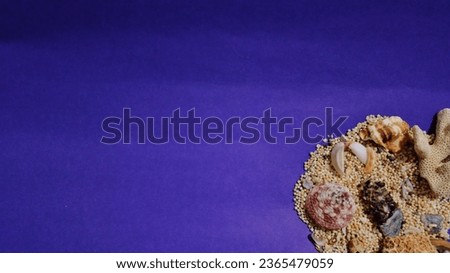 A bunch of beach sand and an abundance of shells isolated on a purple background. Copy space. Background and texture. Concept and idea