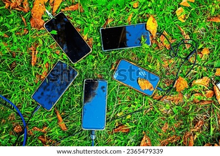smartphones, iPhone, charger and laces on green grass with dry leaves. picnic in nature