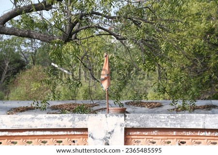 Hindu Temple sky background nature ghumat flag