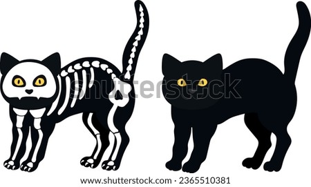 Skeleton cat with a black cat isolated on a white background. Halloween art. Vector illustration
