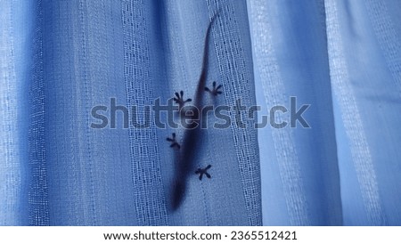 Photo the blue color decorate background 