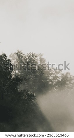 Promienie słońca przenikające przez poranne mgły Royalty-Free Stock Photo #2365513465