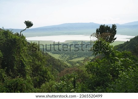 Ngorogoro crater - National Park - Tanzania