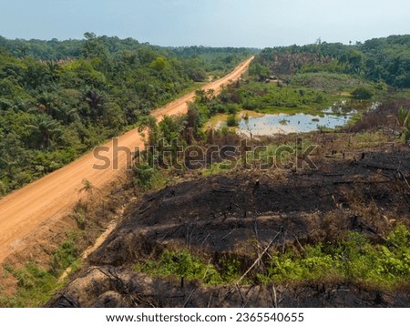 Drone shot of the famous BR-319 in dry season, a dirt road through the Amazon rainforest between Manaus and Porto Velho in Brazil, South America