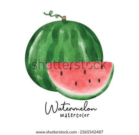 Cute Watermelon featuring vibrant watercolor hand painted fruit illustrations. Perfect for summer designs and refreshing concepts.
