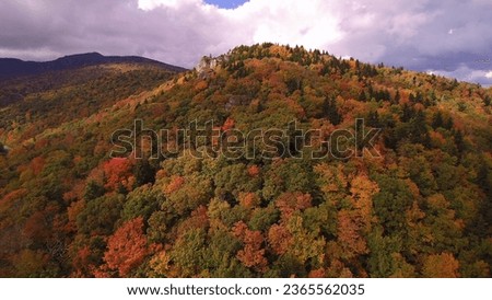 mountain view trees fall leaves 