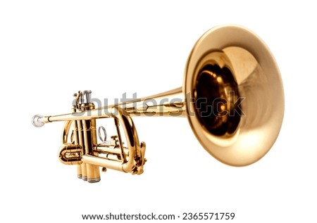Brass trumpet isolated on white background Royalty-Free Stock Photo #2365571759