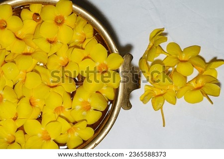 Brass colored round vessel containing water with flowers in it and an antique box near it ,space of text, yellow petals floating on a vessel, traditional vessel with water and flowers, yellow trumpet,