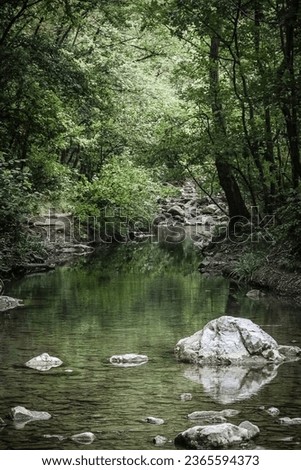 River stream waterfall in the forest landscape. Forest trees by river water landscape. River stream in the mountains. Mountain river stream in woods. Forest lake water flow landscape.
