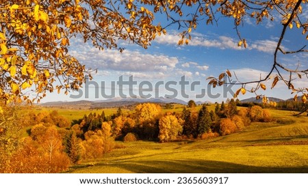 View of autumn landscape framed by colorful foliage at sunset, The Western Tatras mountains in Slovakia in a background. The Orava region of Slovakia, Europe.