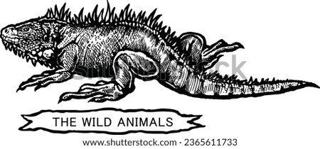 iguana sketch isolated on white background vector illustration lizard.
