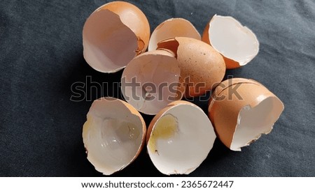 Photo the eggs shells piled together 