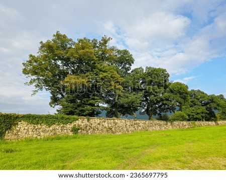 Ancient castle stone walls and beautiful trees
