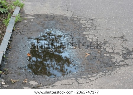 puddle on the asphalt after rain
