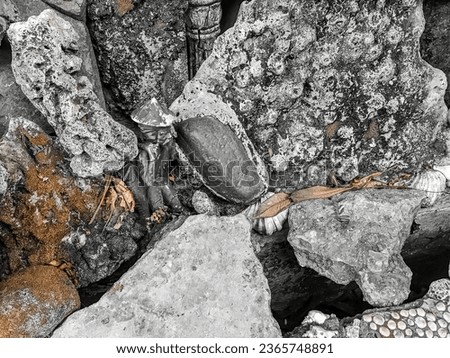 a collection of coral stones on the terrace of the house. aquarium, nature, environment, collection, rock, rough, ecology, surface, reef, pattern, natural, design, art, abstract, texture