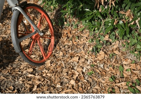 Detail of rental bicycles parked on the side of a small road in autumn in Italy