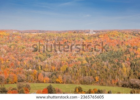 Colorful leaves on trees in autumn forest, Coaticook, Canada 2023