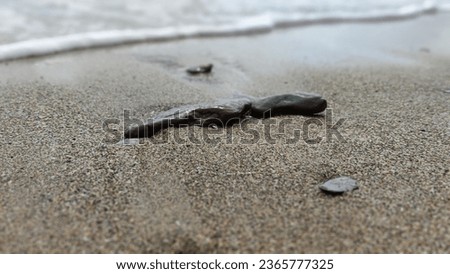 Stones on the sand sea beach. Summer vacation wallpaper background